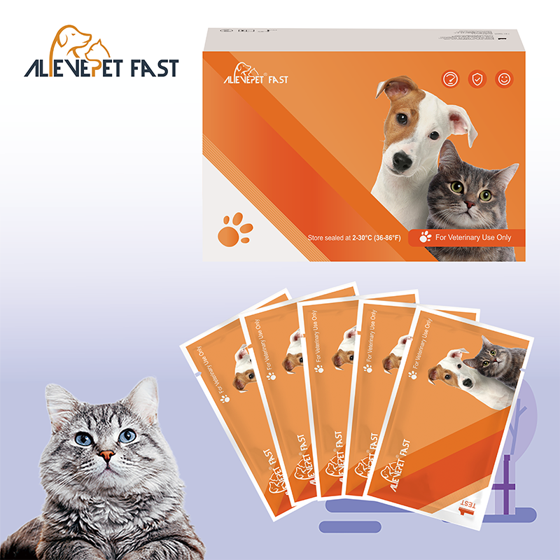 FAB Rapid Test Kit